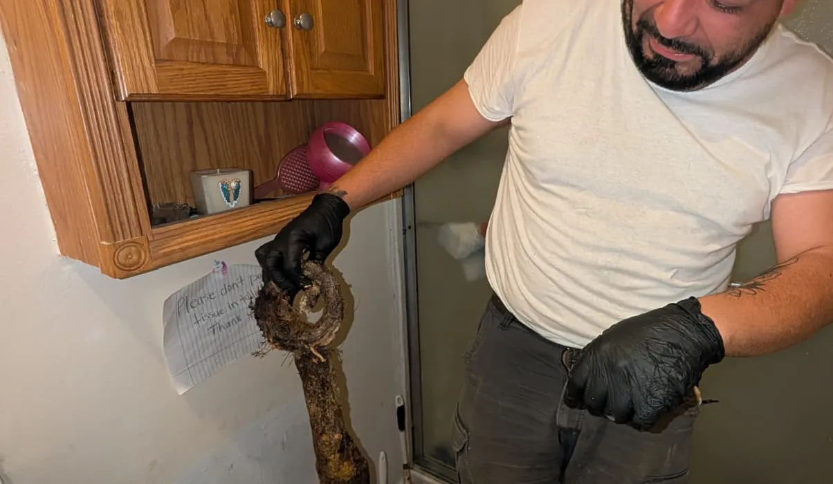 Diamond State Plumbing technician holding tree roots pulled from a clogged bathroom drain