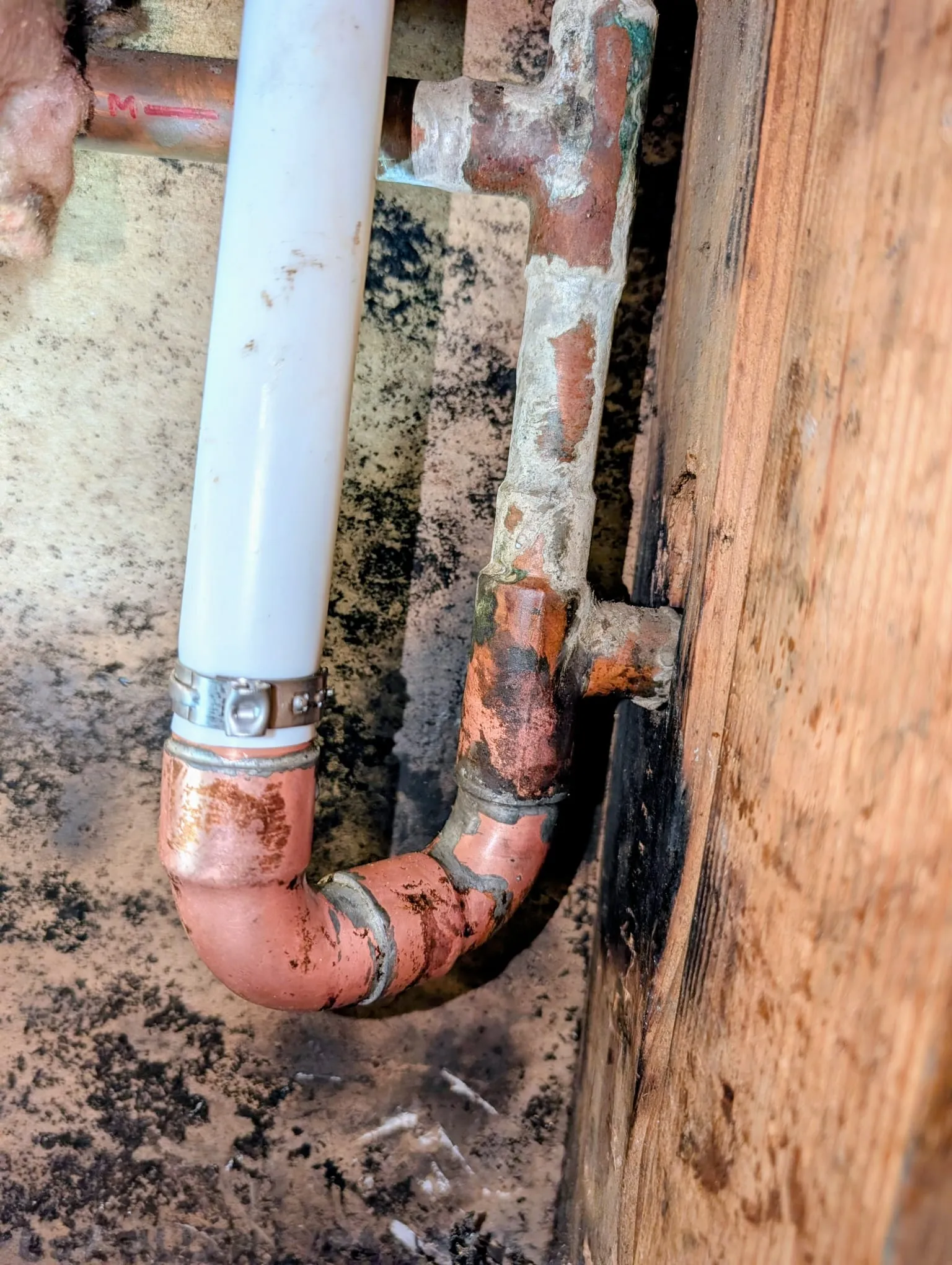 New PEX water line rerouted above the slab to bypass a leaking copper pipe buried in concrete